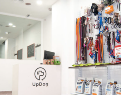 UPDOG Goya | Guardería para perros y Residencia canina